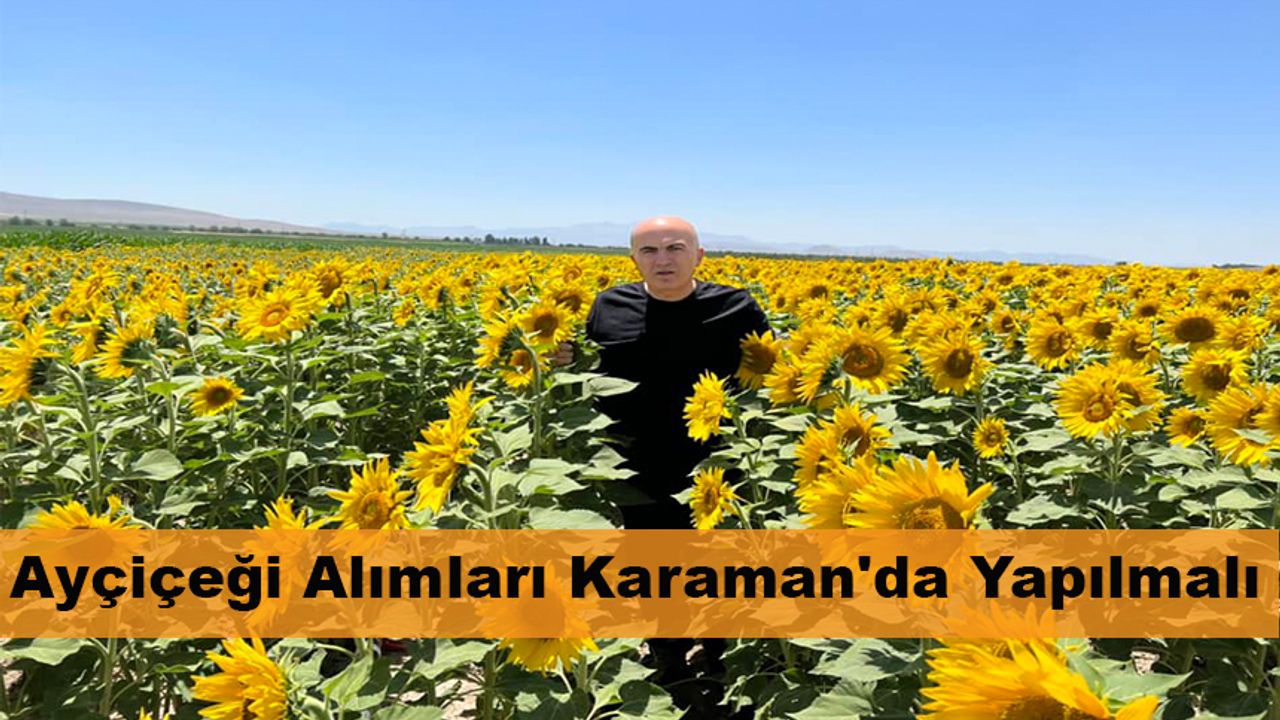 Ayçiçeği Alımları Karaman'da Yapılmalı