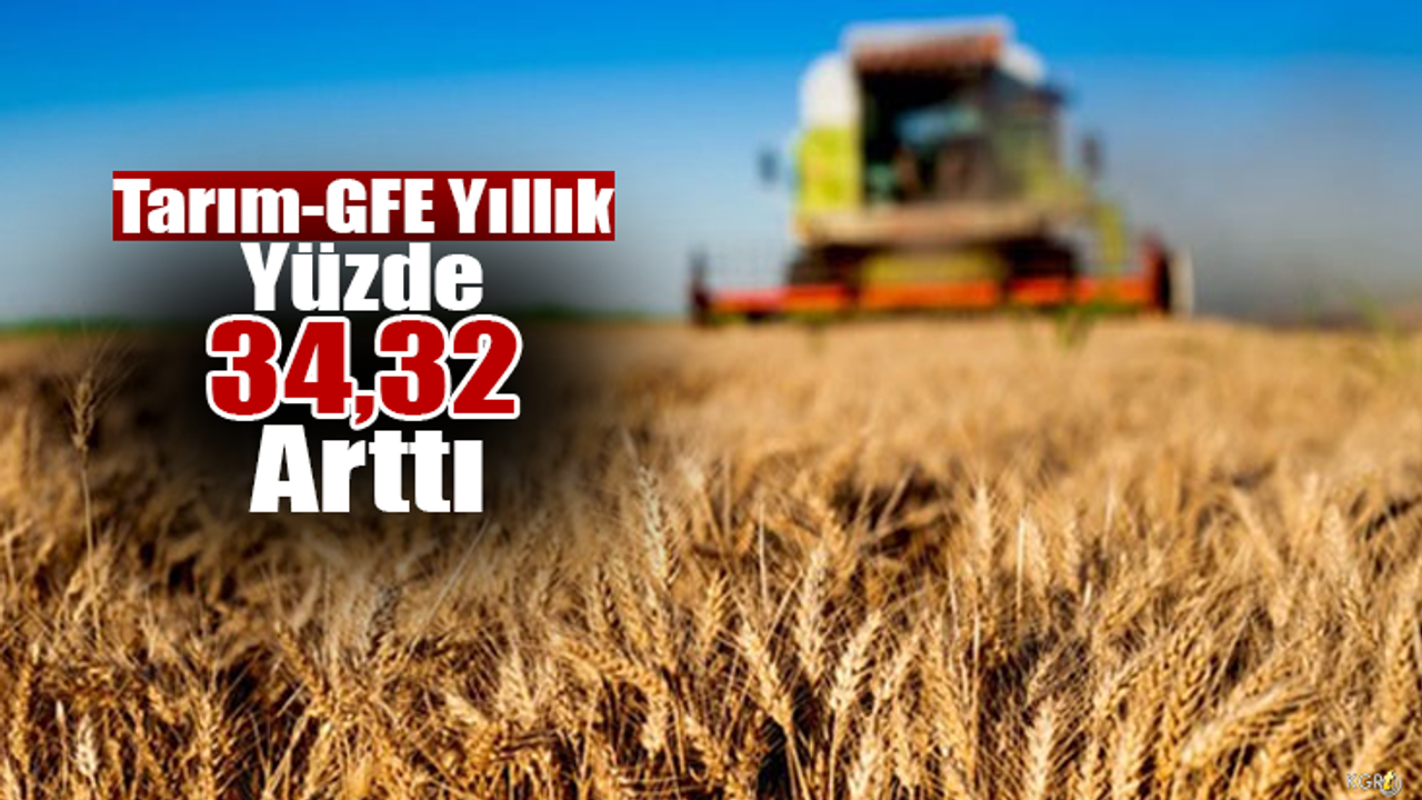 Tarım-GFE Yıllık Yüzde 34,32 Arttı