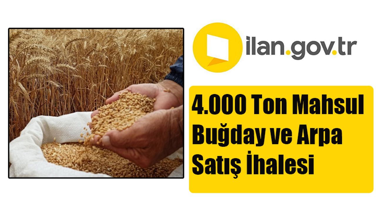 4.000 Ton Mahsul Buğday ve Arpa Satış İhalesi