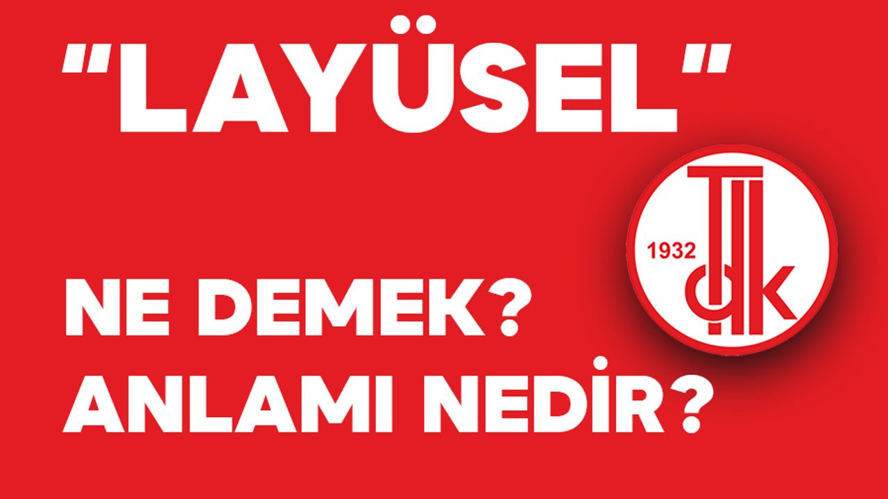 Cumhurbaşkanı Erdoğan'ın Kullandığı Layüsel Ne Demek? Layüsel TDK Anlamı