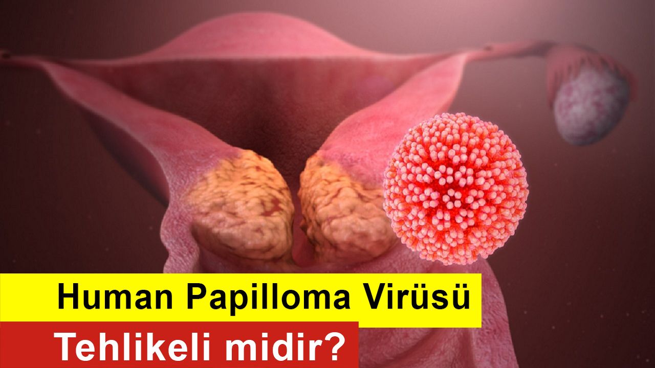 Human Papilloma Virüsü Tehlikeli midir? HPV Nedir? HPV Aşısı Neden ...