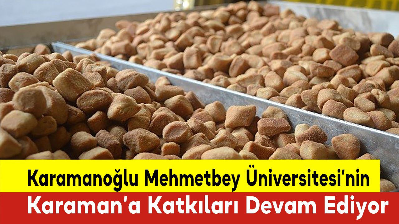 Karamanoğlu Mehmetbey Üniversitesi’nin  Karaman’a Katkıları Devam Ediyor