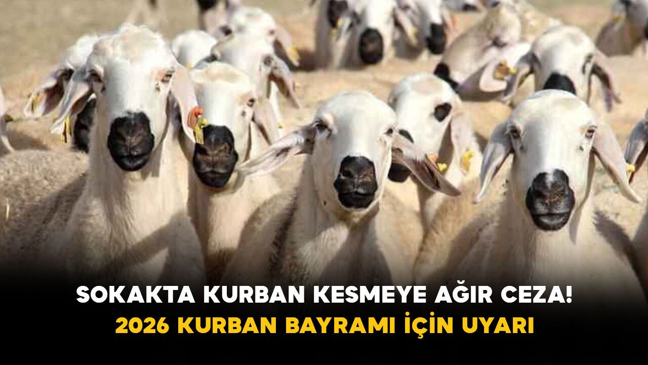 Sokakta Kurban Kesmeye Ağır Ceza! 2026 Kurban Bayramı İçin Uyarı