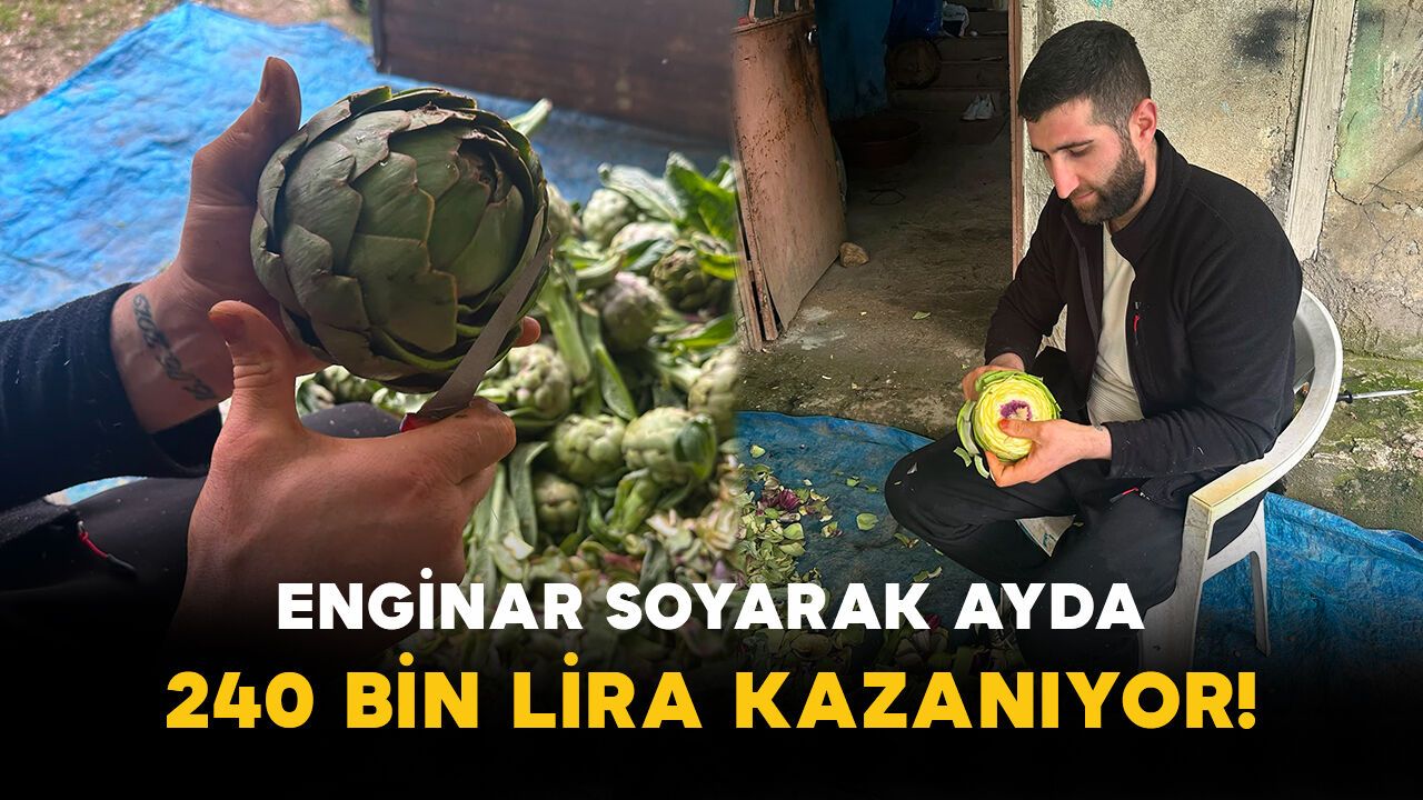 Enginar Soyarak Ayda 240 Bin Lira Kazanıyor!