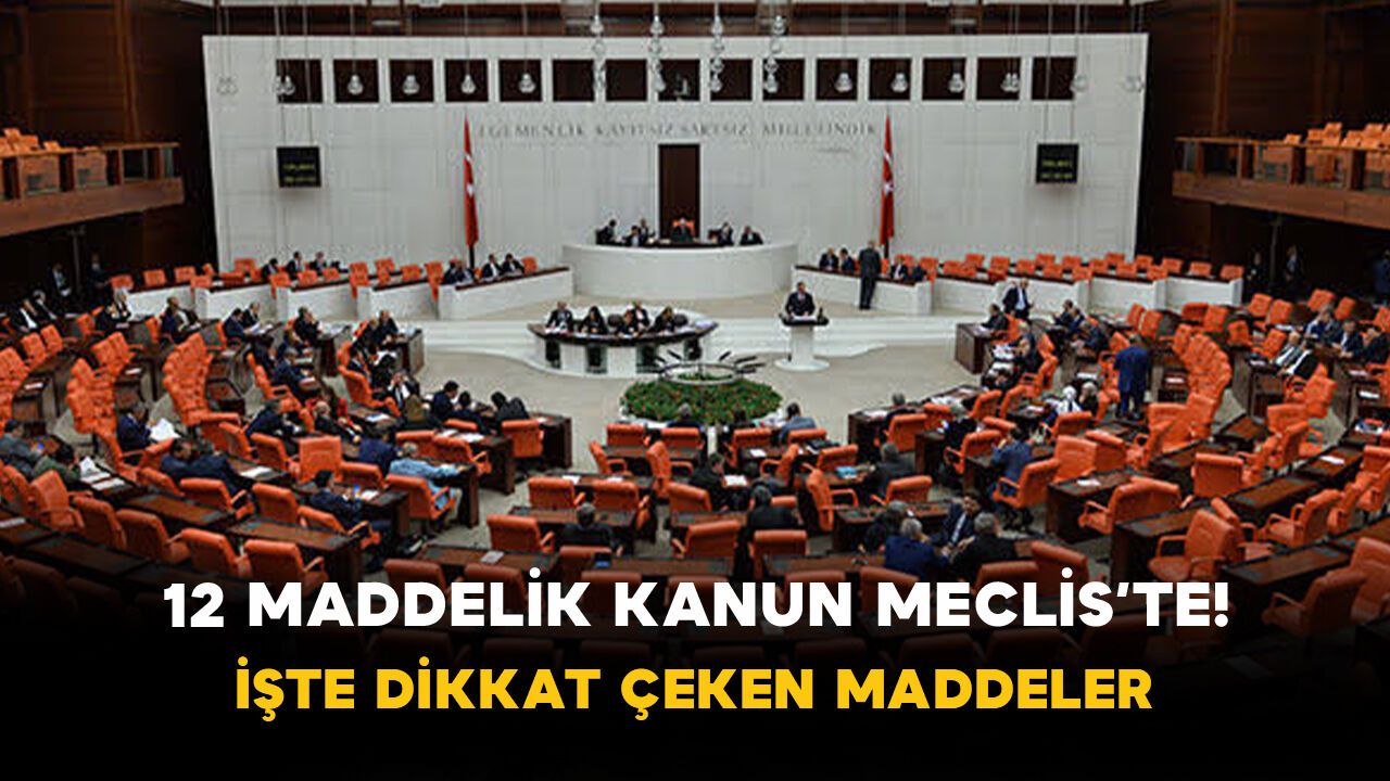 12 Maddelik Kanun Meclis’te! İşte Dikkat Çeken Maddeler
