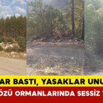 Sıcaklar bastı yasaklar unutuldu