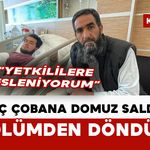 Karaman’da domuz saldırısına uğrayan genç çoban ölümden döndü