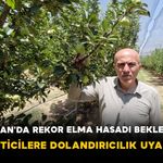 Karaman'da Rekor Elma Hasadı Bekleniyor! Üreticilere Dolandırıcılık Uyarısı