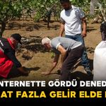 İnternette Görüp Denedi: 10 Metrekareden 800 Metrekareye