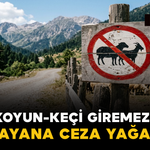 Koyun-Keçi Giremez! Uymayana Ceza Yağacak