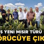 Türkiye’den 45 ülkeye uzanan tohumlar Karaman’da üreticiyle buluştu