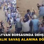 Hayvan Borsasında Dehşet: Ortalık Savaş Alanına Döndü