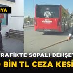 Trafikte Sopalı Dehşet: 380 Bin TL Ceza Kesildi