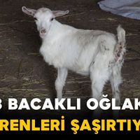 Güncel