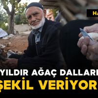 Yaşam