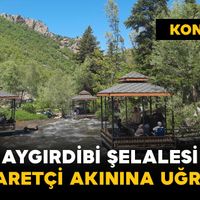 Yaşam