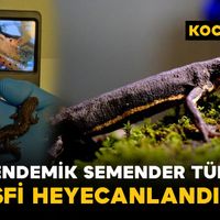 Gündem