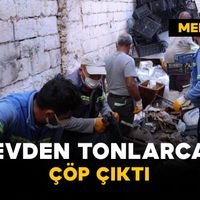 Asayiş
