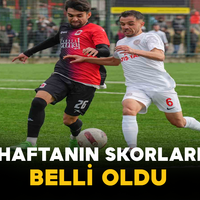 Spor