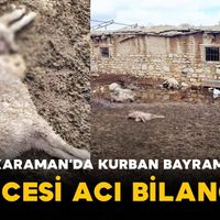 Asayiş