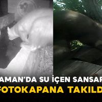 Karaman