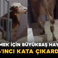 Gündem