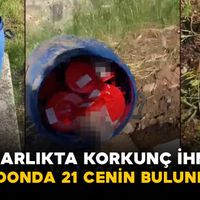 Asayiş