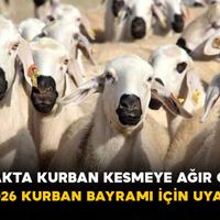 Güncel