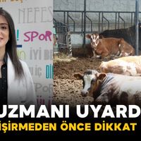 Sağlık
