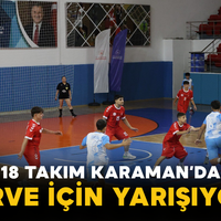 Spor