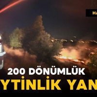 Asayiş