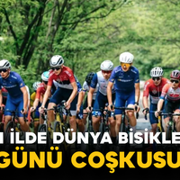 Spor