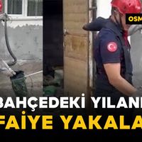 Asayiş
