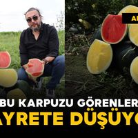 Gündem