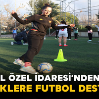 Spor