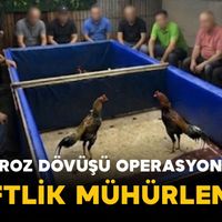 Asayiş