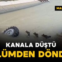 Asayiş