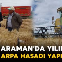 Tarım