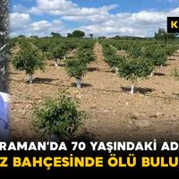 Asayiş