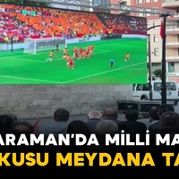 Spor