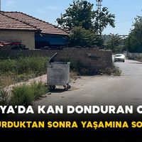 Asayiş