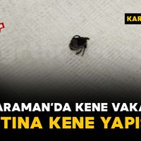 Sağlık