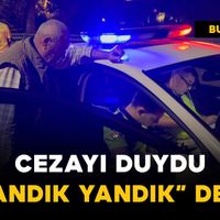 Dünya