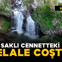Genel