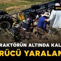 Dünya