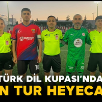 Spor