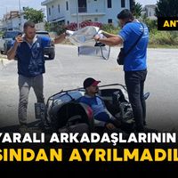 Asayiş