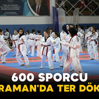 Spor