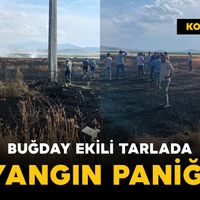Asayiş