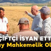 Tarım